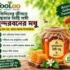 slide-ID100002442P-IMG